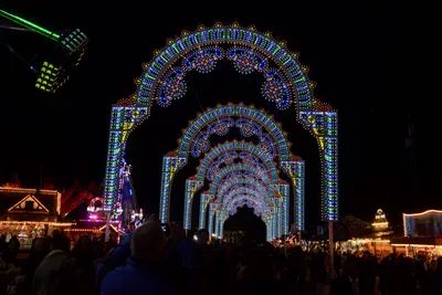 DSC_5570 (Large).JPG